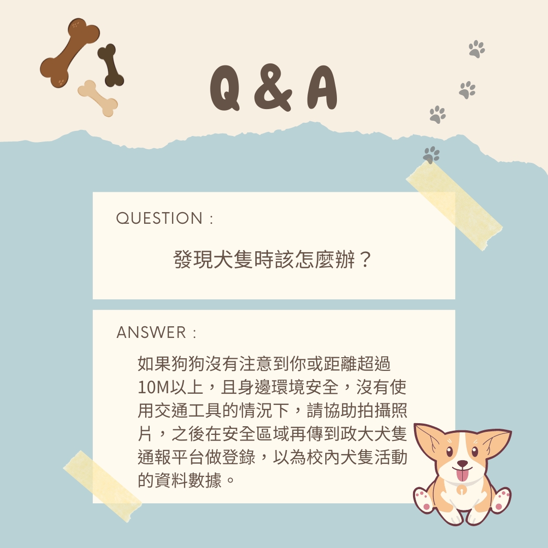 流浪犬相關QA